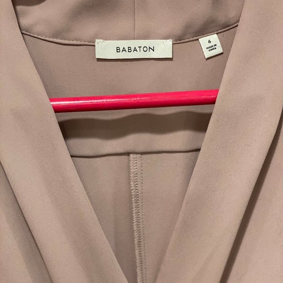 Dirty Pink Babaton Short Dress - Picture 2 of 2